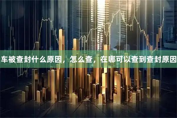 车被查封什么原因，怎么查，在哪可以查到查封原因