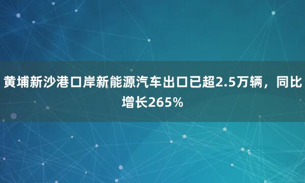 黄埔新沙港口岸新能源汽车出口已超2.5万辆，同比增长265%