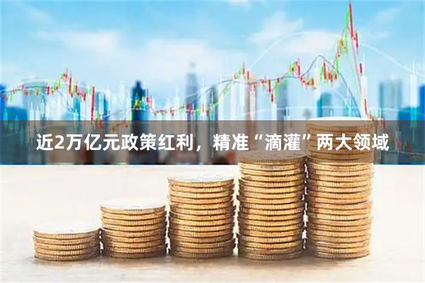 近2万亿元政策红利，精准“滴灌”两大领域