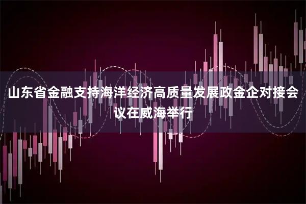 山东省金融支持海洋经济高质量发展政金企对接会议在威海举行